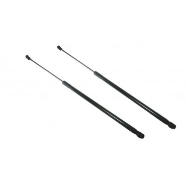 Vérin Hayon Coffre X2 VW...