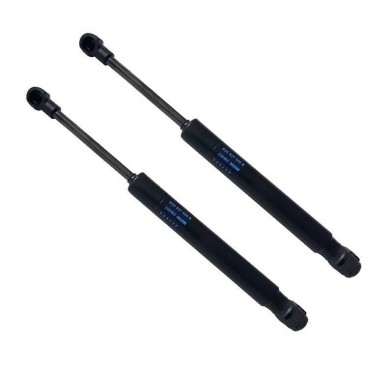 Vérin Hayon Coffre X2 VW...