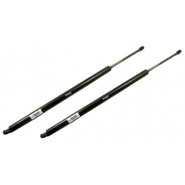 Vérin Hayon Coffre X2 VW...