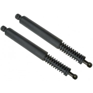 Vérin Hayon Coffre X2 VW...