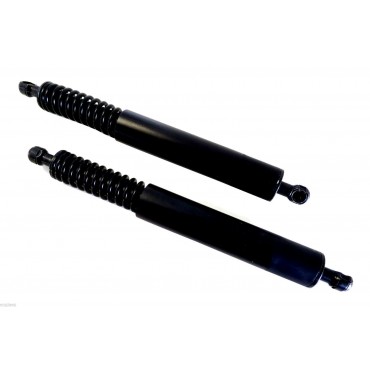 Vérin Hayon Coffre X2 VW...