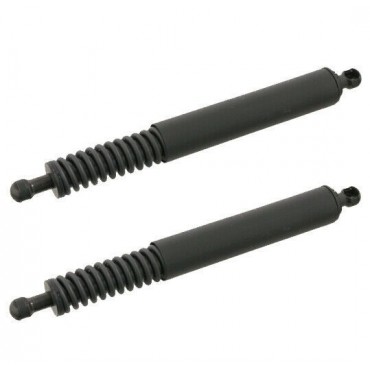 Vérin Hayon Coffre X2 VW...