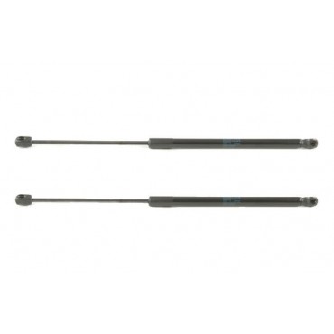 Vérin Hayon Coffre X2 Audi...