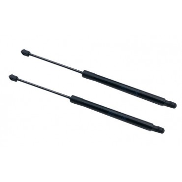 Vérin Hayon Coffre X2 Audi...