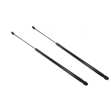 Vérin Hayon Coffre X2 Audi...