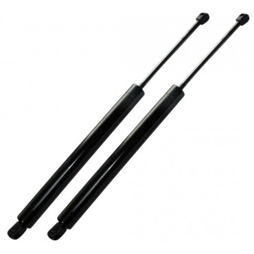 Vérin Hayon Coffre X2 Ford...