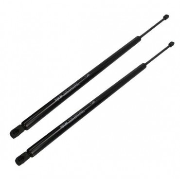 Vérin Hayon Coffre X2 Ford...