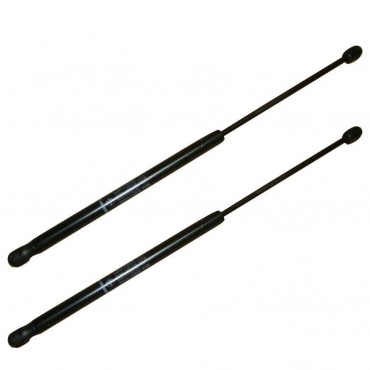 Vérin Hayon Coffre X2 Fiat...