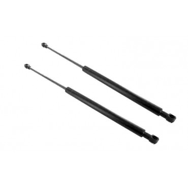 Vérin Hayon Coffre X2 Volvo...