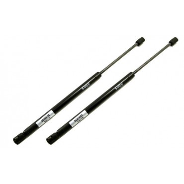 Vérin Hayon Coffre X2 Fiat...