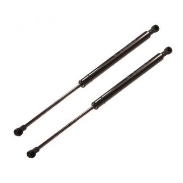 Vérin Hayon Coffre X2 Fiat...