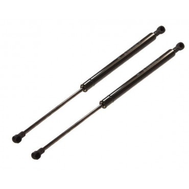 Vérin Hayon Coffre X2 Fiat...