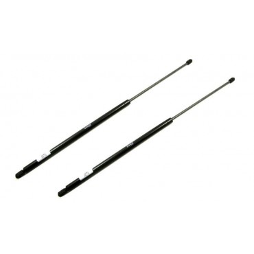 Vérin Hayon Coffre X2 Fiat...