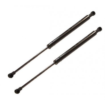 Vérin Hayon Coffre X2 Fiat...