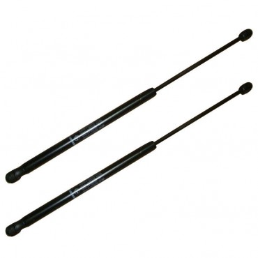 Vérin Hayon Coffre X2 Fiat...