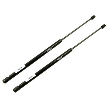 Vérin Hayon Coffre X2 Fiat...