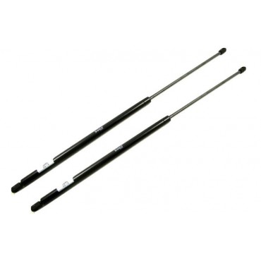 Vérin Hayon Coffre X2 Fiat...