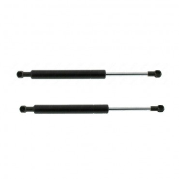 Vérin Hayon Coffre X2 Alfa...