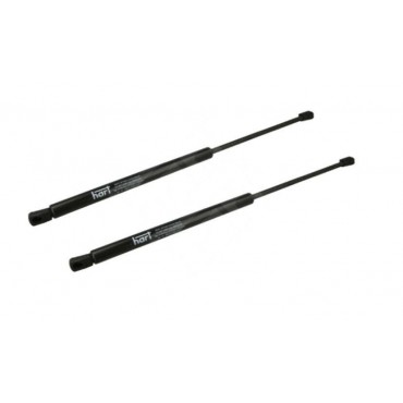 Vérin Hayon Coffre X2 Opel...