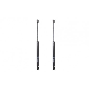 Vérin Hayon Coffre X2 Opel...