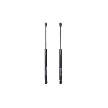 Vérin Hayon Coffre X2 Opel...