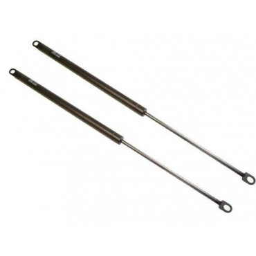 Vérin Hayon Coffre X2 VW...