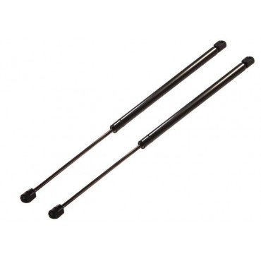 Vérin Hayon Coffre X2...