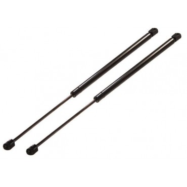 Vérin Hayon Coffre X2...