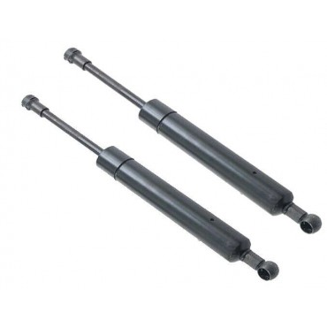 Vérin Hayon Coffre X2...