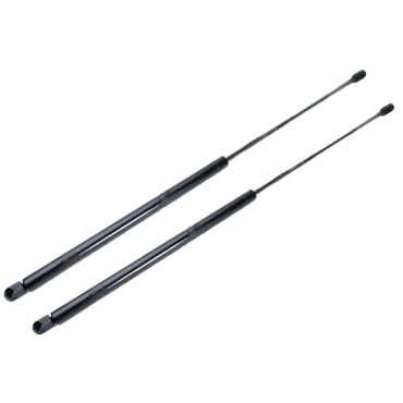 Vérin Hayon Coffre X2...