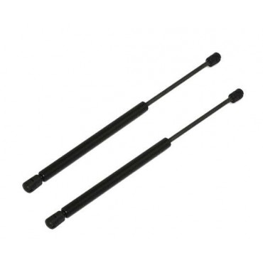 Vérin Hayon Coffre X2...