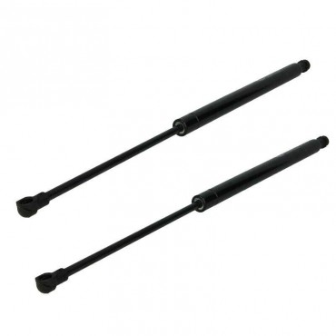 Vérin Hayon Coffre X2...