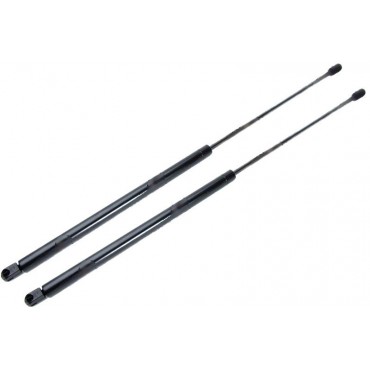 Vérin Hayon Coffre X2...