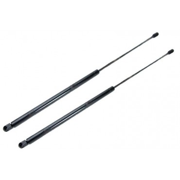 Vérin Hayon Coffre X2...