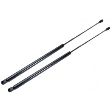 Vérin Hayon Coffre X2...