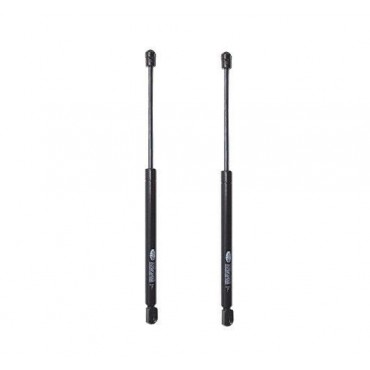 Vérin Hayon Coffre X2...