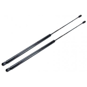 Vérin Hayon Coffre X2...