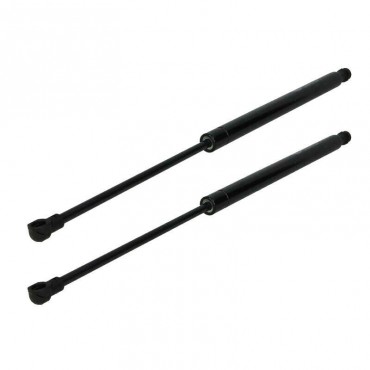 Vérin Hayon Coffre X2 BMW...