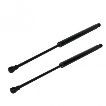 Vérin Hayon Coffre X2 BMW...