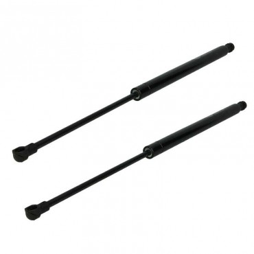 Vérin Hayon Coffre X2 BMW...