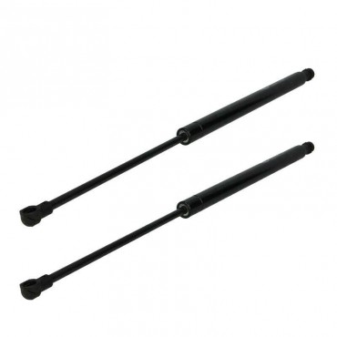 Vérin Hayon Coffre X2 BMW...