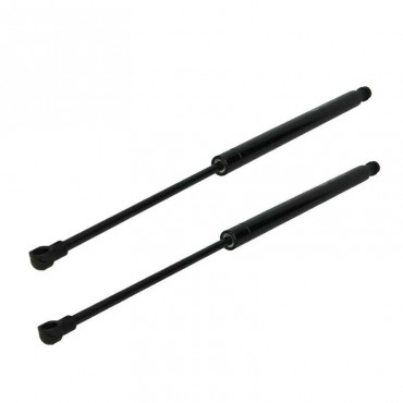 Vérin Hayon Coffre X2 BMW...