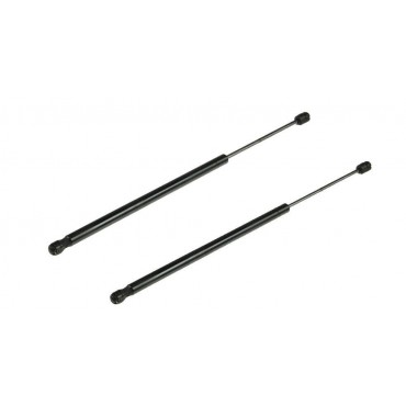 Vérin de coffre Hayon x2...