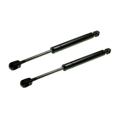 Vérin de capot moteur...