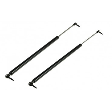 Vérin de coffre Hayon x2...