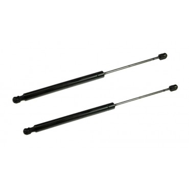 Vérin de coffre Hayon x2...