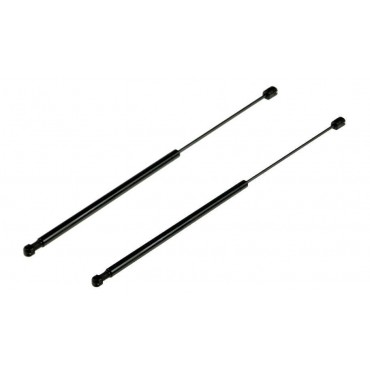 Vérin de coffre Hayon x2...