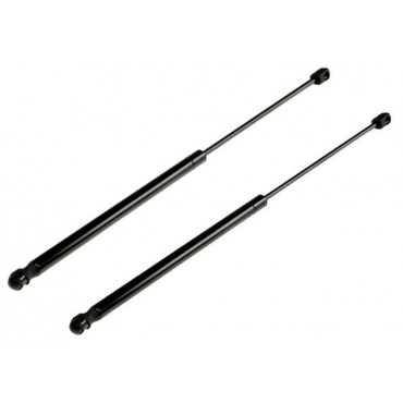 Vérin de coffre Hayon x2...