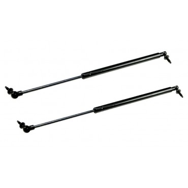 Vérin de coffre Hayon x2...