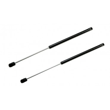 Vérin de coffre Hayon x2...